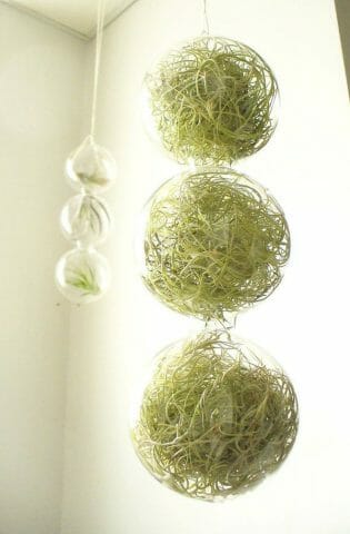 Подвесная корзинка-шар с травами: изготовление в домашних условиях