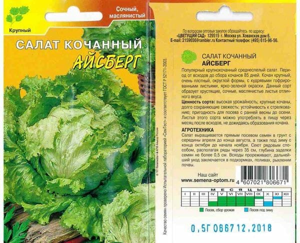 Как правильно сажать салат в открытый грунт семенами