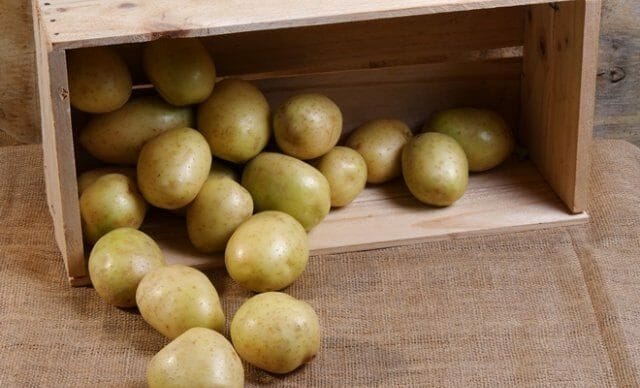 Способы и условия хранения картофеля зимой: в погребе, в квартире (на балконе)