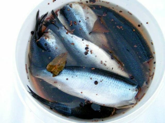 Солим речную рыбу в домашних условиях