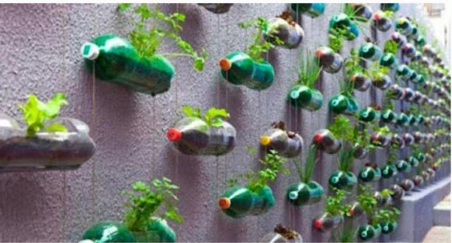 Полезное применение пластиковых бутылок в огороде: 10 способов