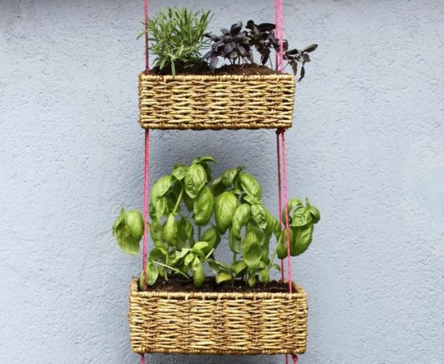 26 идей, которые сделают сад уютнее и облегчат уход за растениями